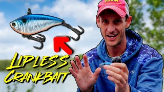 Lipless Crankbaits Are Underrated [upl. by Aleacem]