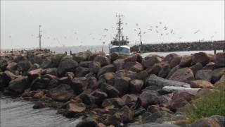 SPODSBJERG HAVN SOMMEREN 2016 [upl. by Virgy474]