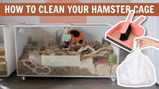 How to Clean your Hamster Cage 🧼 [upl. by Ahsein]