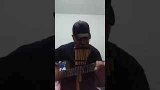 😆Imillitay Kjarkas HERNAN LEIVA B tinkus cover [upl. by Atsyrt]