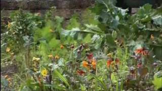 River Cottage  Hugh FearnleyWhittingstall  Landshare  Transition Towns Totnes [upl. by Pavlish629]