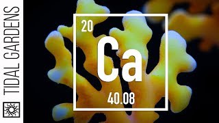 Reef Chemistry Calcium Level Testing [upl. by Melinda]