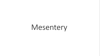 Mesentery  Anatomy [upl. by Nirrok]