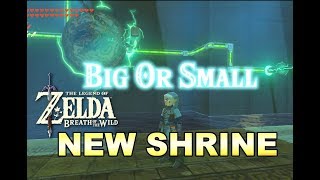 Big Or Small Shrine Chest and MOLDUKING Zelda Breath of the Wild [upl. by Buckingham]