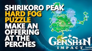 Shirikoro Peak Mist Puzzle Find Your Way through the mist Genshin Impact [upl. by Anihsit697]