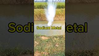 Sodium Metal With Water Reaction Video  सोडियम मेटल धमाका वीडियो shorts [upl. by Anibor]