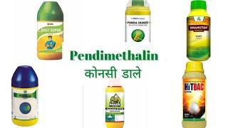 Pendimethalin 387 cs और Pendimethalin 30 ec का प्रयोग कहा और कैसे करे । [upl. by Pittman]