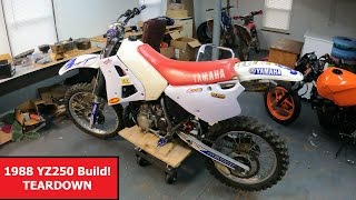 1988 YZ250 Restoration PART 1 Teardown [upl. by Ttebroc971]