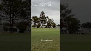 👍 upanddown chipping puttinggreen shortgame golfer goodgood chipshot [upl. by Corabella632]