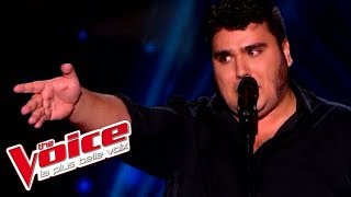 Jacques Brel  Ces gens là  Yoann Launay  The Voice France 2015  Blind Audition [upl. by Brace929]