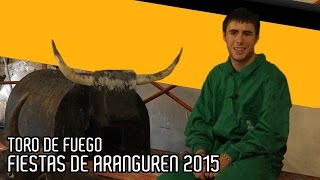 Fiestas de Aranguren 2015  TORO DE FUEGO [upl. by Petula292]