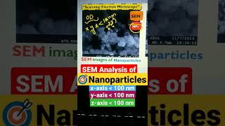 SEM Analysis of Nanoparticles [upl. by Eiresed268]