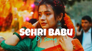 Sehri Babu Dil Lehri Babu 🥀 Dj Remix 🎧  Hindi Song [upl. by Onfroi]