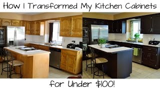 How I Transformed My Kitchen Cabinets for Under 100 [upl. by Noleta917]