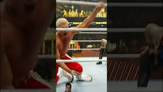 When rhodes wwe wrestling bashinberlin fyp shorts [upl. by Anitsirc]