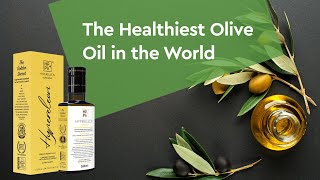 HYPERELEON  The Global Front Runner of Extra Virgin Olive Oil Rich in Polyphenols [upl. by Anirtak663]