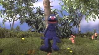 Sesame Street Grover and the Butterfly [upl. by Yhtir]