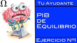 PIB de Equilibrio  LR Ejercicio Nº1  Tu Ayudante Economía [upl. by Ellennahs]