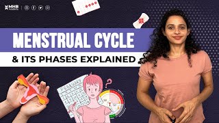 What is The Menstrual Cycle Menstrual Cycle Phases EXPLAINED [upl. by Eeresed]