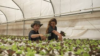 Israël  Un collectif de jeunes femmes au secours dagriculteurs [upl. by Bellamy644]