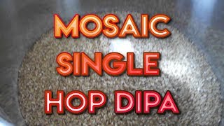 Mosaic Single Hop DIPA  Grain 2 Belly [upl. by Hanikas]