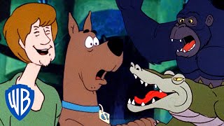 ScoobyDoo Where Are You  Animal Encounters 🐊  10 Minutes of CLASSIC Cartoons  WB Kids [upl. by Pyotr]