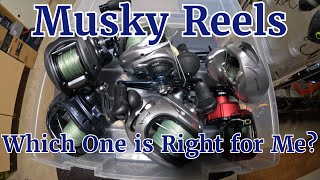 Which Musky Reel Do I Buy [upl. by Anas]