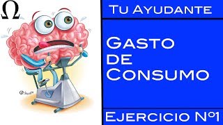 Gasto de Consumo  LR Ejercicio Nº1  Tu Ayudante Economía [upl. by Palmore]