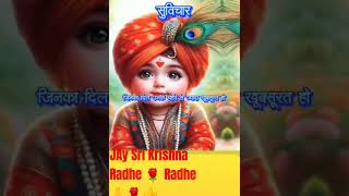 Krishna motivation status 🌹🌹🌺🌺 Jay shree Krishna Radhe Radhe 💯💯💯💯💯💯🙏👍 [upl. by Aynosal]