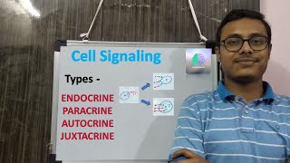 Cell Signaling  Types  Endocrine Paracrine Autocrine Juxtacrine Cell Signaling Types Hindi [upl. by Therron929]