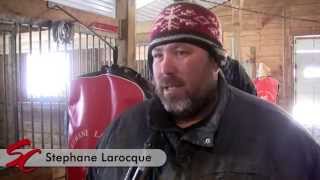 Choosing A Harness Driver  Standardbred Canada Video Feature [upl. by Eirual160]