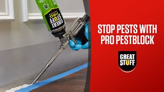 How to Stop Pests and Seal Sill Plates Using Great Stuff Pro™ Pestblock [upl. by Lucey274]