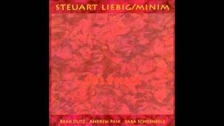 The Eighteenth Kaleidoscope from Steuart Liebigs Minims Sulphur [upl. by Ilah]