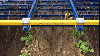 Treffler TS Precision Tine Harrow in potatoes [upl. by Meehaf]