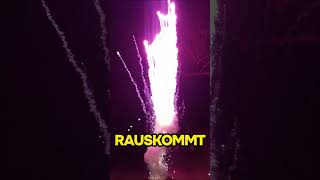 DAMIT bekommst du garantiert AUFMERSAMKEIT feuerwerk silvester [upl. by Pincince400]