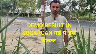 seed treatment of sugarcane with cascade [upl. by Gershom]