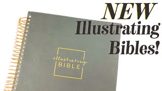 NEW BIBLE DaySpring NIV Illustrating Bible [upl. by Wolliw]