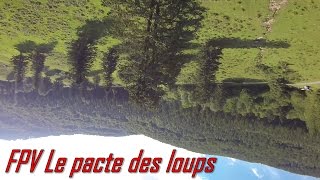 FPV 250  Le Pacte des Loups  Baronnies  Esparros  France [upl. by Yraeg717]