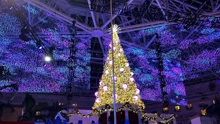 Christmas At Gaylord Palms Resort  Orlando [upl. by Anertak694]