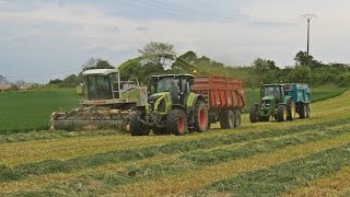 Ensilage dherbe 2k17  Claas Jaguar 860 [upl. by Shah204]