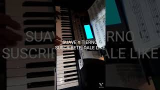 SUAVE Y TIERNO cumbia cover instrumental [upl. by Aelanna]