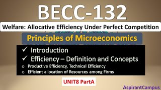 BECC 132 Welfare Allocative Efficiency Under Perfect Competition [upl. by Yelekalb]