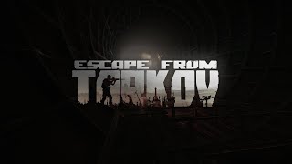 Стрим онлайн Escape from TarkovПогнали в PVEДень 3 [upl. by Lalise]