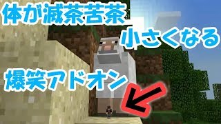 【マイクラPE】メッチャ体が小さくなる爆笑アドオン【アドオン紹介】 [upl. by Birecree262]