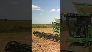 Advanced Techniques John Deere S770 Wheat Farming 🌾🚜 [upl. by Boru523]