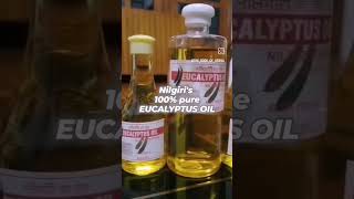 100 natural and pure Eucalyptus oil love eucalyptusoil eucalyptus ytshorts youtubeshorts [upl. by Gelasias]