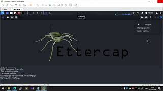 iplementation DOS attack with Ettercap graphical kali linux [upl. by Elok]