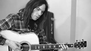 Neil Young  Harvest Moon  Lyrics Live [upl. by Andriette]