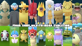 Catching these wild shiny pokemon in Pokemon GO and mega evolve them PART 1 [upl. by Cleave231]