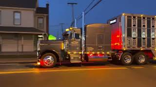 Peterbilt 379 Bull Rack Straight Piped Jake Brake [upl. by Sheilah150]